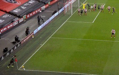 1610893138386031735.gif 5653.gif